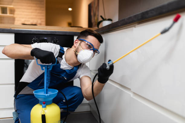 Best Wasp Removal Services  in Milford, NJ