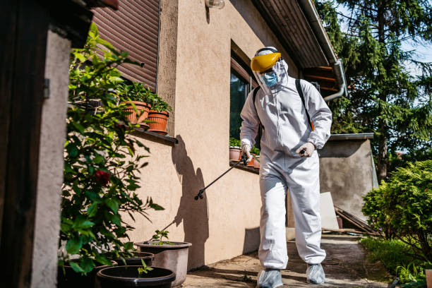 Best Local Pest Control Services  in Milford, NJ