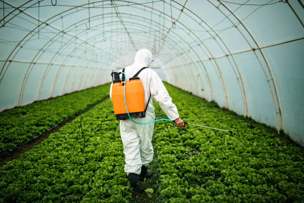 Best Pest Control for Businesses  in Milford, NJ