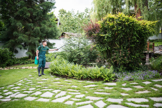 Best Ant Control Services  in Milford, NJ