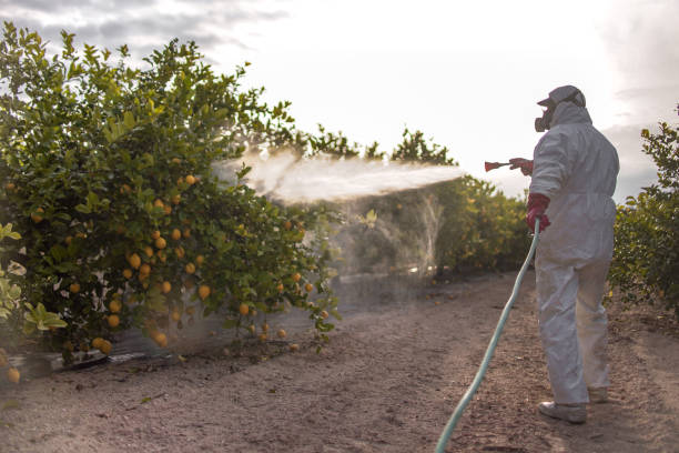Best Cockroach Control Services  in Milford, NJ