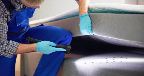 Best Termite Control Services  in Milford, NJ