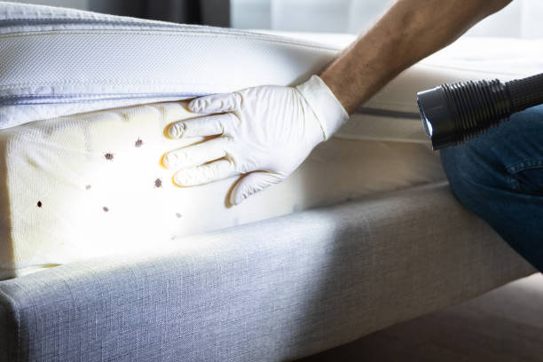 Best Local Pest Control Services  in Milford, NJ